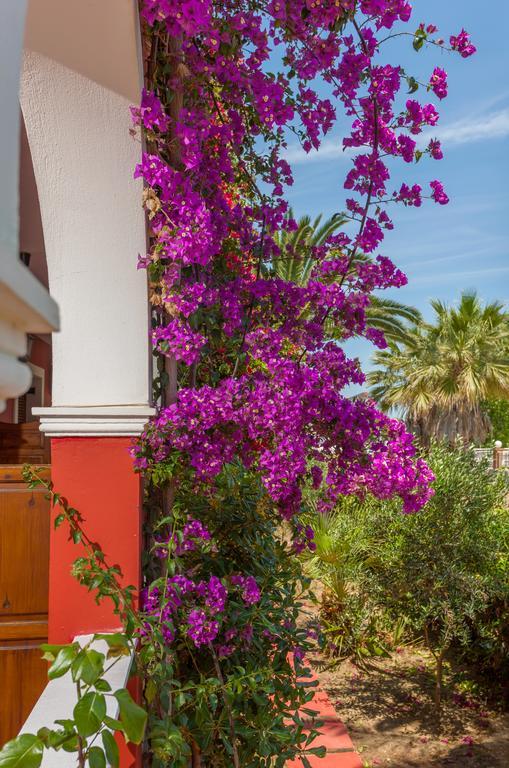 Tropical Studios Лаганас Экстерьер фото